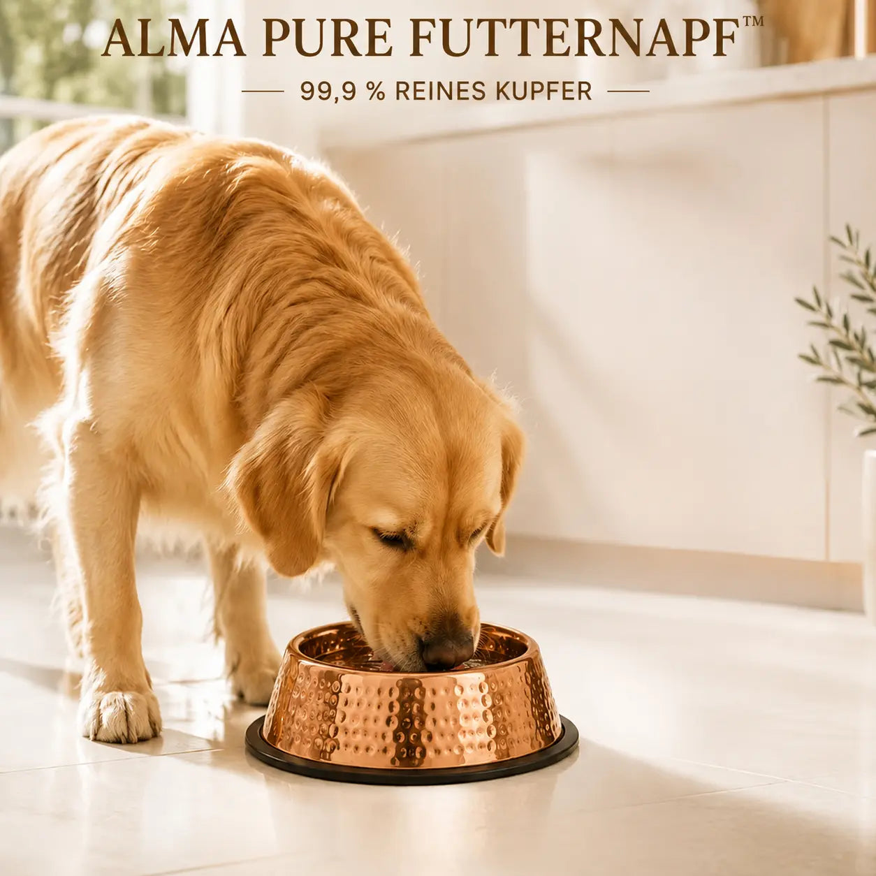 Alma Pure™ Napf aus 99,9 % reinem Kupfer für Hunde und Katzen