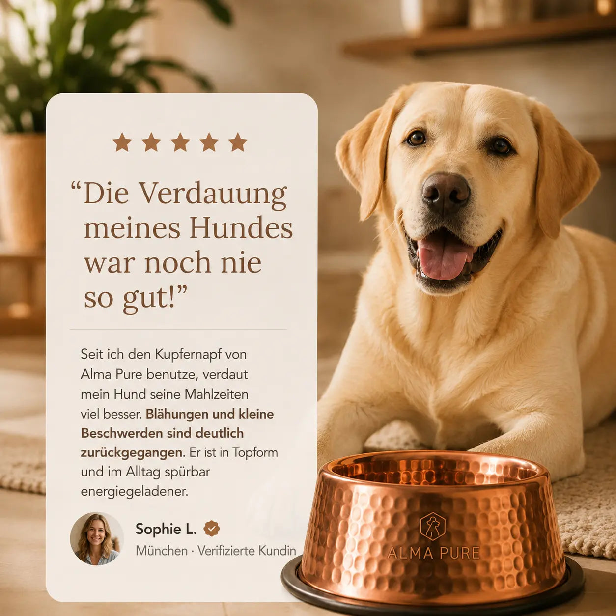 Alma Pure™ Napf aus 99,9 % reinem Kupfer für Hunde und Katzen